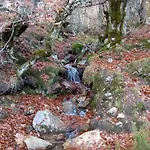 Monte Hernanz Riaza