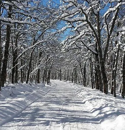 Monte Hernanz Lägenhet Riaza