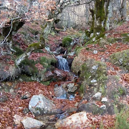 Monte Hernanz Riaza