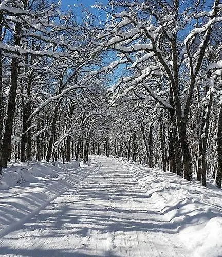 Monte Hernanz شقة ريازا