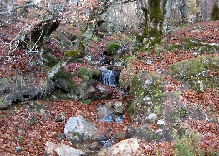 Monte Hernanz ريازا